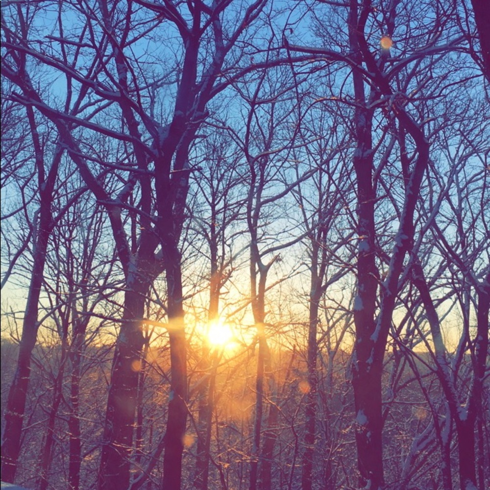 Meet your Posher, Jessie